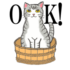 いろいろ毛柄の猫会話