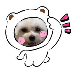 チワプースタンプ小梅