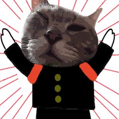 コミカルにゃんこ