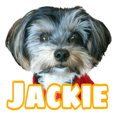 こいぬのジャッキー