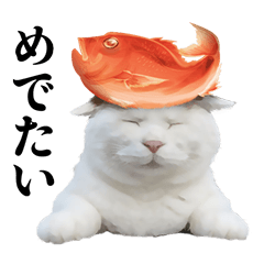 乗せて使える のせ猫スタンプ