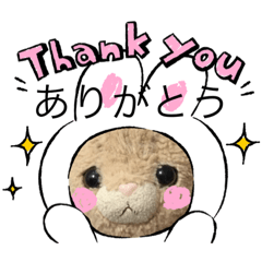 ねこちゃんどうしたの？その⑥