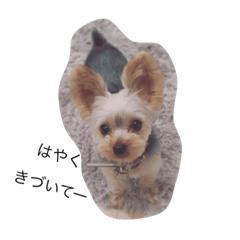 ちびっこむーたん