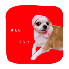 めろさんのつぶやきPart2