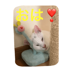 麿さんの気持ち