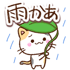 やさしい三毛猫８