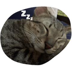 Wendy_20210525144317