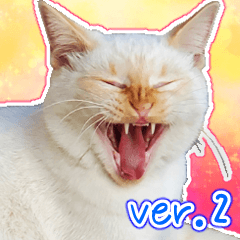 しろちゃんふぁみりー　Ver.2