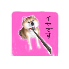 リアルムーコ&ポコ