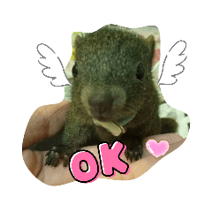 MiaoMiao_20210726031731