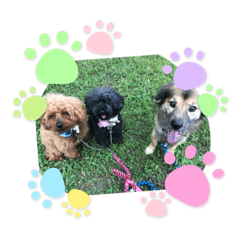 もんじろうとこぐりんときどき、キット