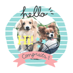 大福ぶらざーずの日常