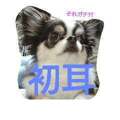 福くんスタンプ