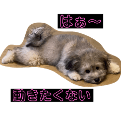 オレオの日常会話