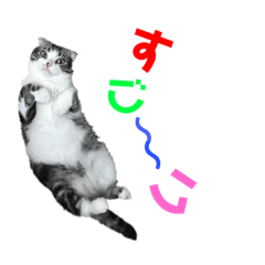 にゃんこスタンプtibi &goma