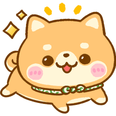 気持ちお届け♡豆柴日和