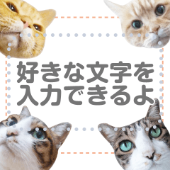 トラとハチワレ【メッセージスタンプ②】