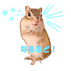 シマリスよつばくん2