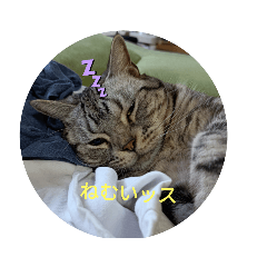 カラちゃんとチャッピー2