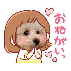 toypoodlesレネ&あおい⑤