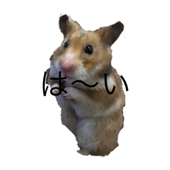 むぎちゃんちゃん