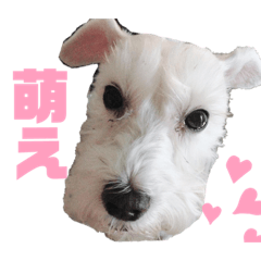 マチューのベストライフ第1弾