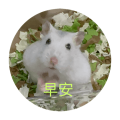 Lucas_20221022204111