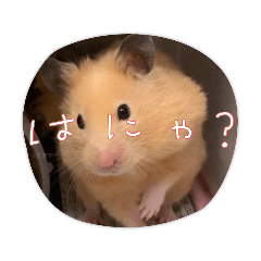 モルハムまったりスタンプ その1