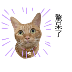 Melody_20221202191205