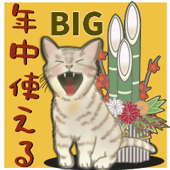 ❤️年中使える❤️モフ猫たち❤️Bigサイズ
