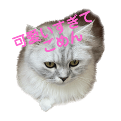 うちのにゃんこPart4