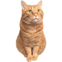 トラリーノのスタンプ