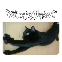 むしゃとおもち