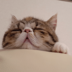 わが家のふぁみりースタンプ