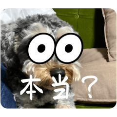 面白い！ロミーちゃんスタンプ！v1