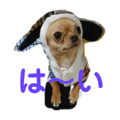 愛犬オミスタンプ