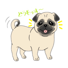 ぺたらこい顔の犬たち