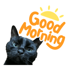 うちのペットたちpart.1