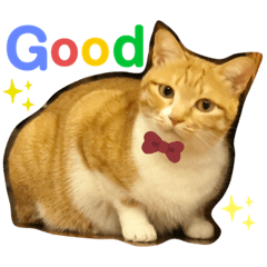 茶トラ猫ちゃんのラインスタンプ