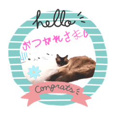 『きゅんちゃんすたんぷ  Vol.Ⅰ』