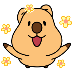 Let's play with quokka