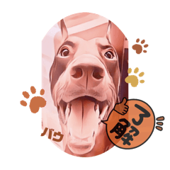 いつも使える　かわいい犬　面白いスタンプ