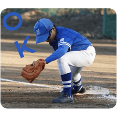 あしかび野球～