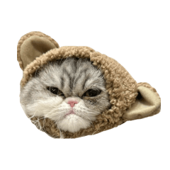 コスプレむんちゃん