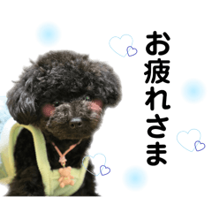 黒プーひまりのスタンプ②