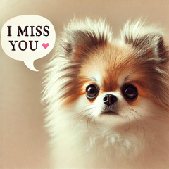 アフロチワワのスタンプ@SFW