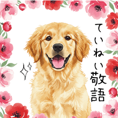 ゴールデンの丁寧な敬語