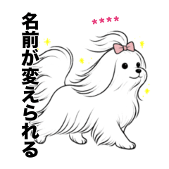 名前入りマルチーズロング