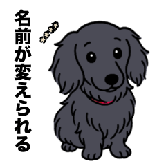 名前入りダックスロングソリッドブラック