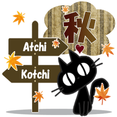 黒ねこの秋便り